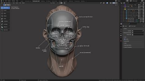 11 Exercises to Master Sculpting .